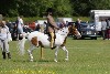 thornton-le-dale-gala showclass7acharity25-5-20055